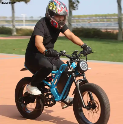 Pedal Assisted E BIkes