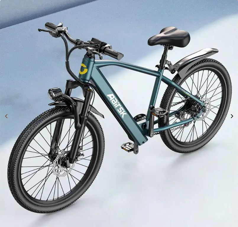 Electric Mountain Bikes